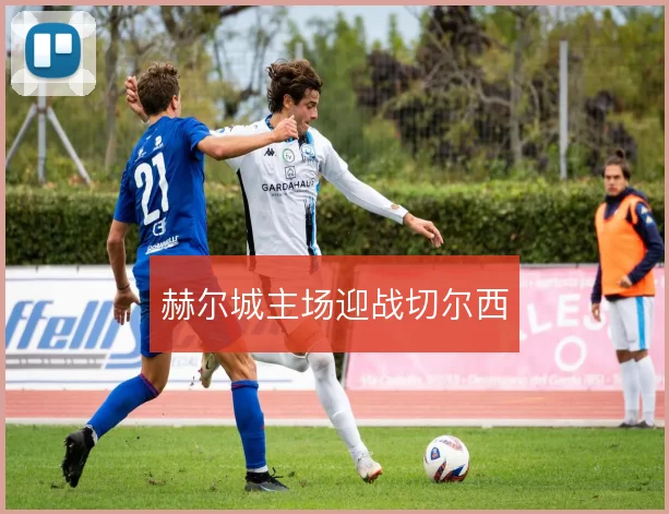 赫尔城主场迎战切尔西